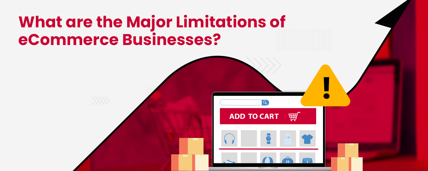 eCommerce Limitations - 11 Limitations of eBusinesses